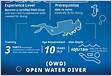 PADI Deep Diver vs. Advanced Open Water Dive